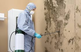 Mold Removal for HVAC Installations in Suamico, WI